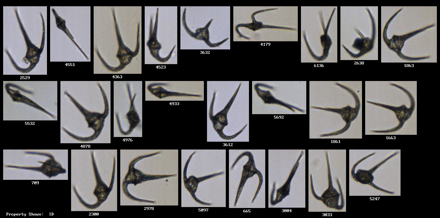 Extract individual particle images from FlowCam