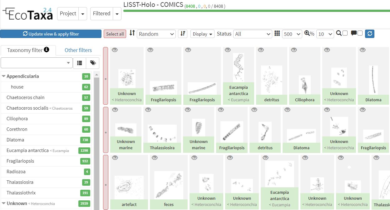 From FlowCam to EcoTaxa